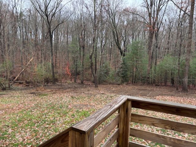 A view of a backyard with fallen leaves and a dense forest line, seen from a wooden deck railing.