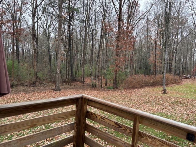 A wooden deck railing overlooks a backyard covered in autumn leaves, leading to a dense line of trees in the background.