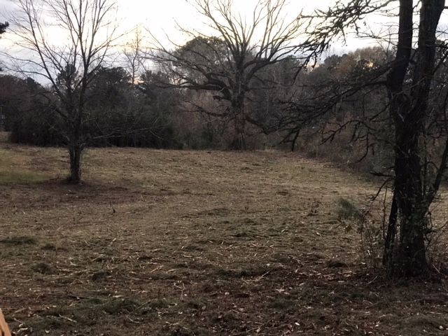 A field of dry, brown grass framed by bare trees under a cloudy sky in late autumn or winter.