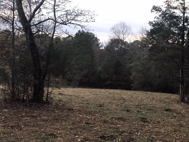 A field of dry, brown grass leads to a dense, dark forest line under a pale, overcast sky.