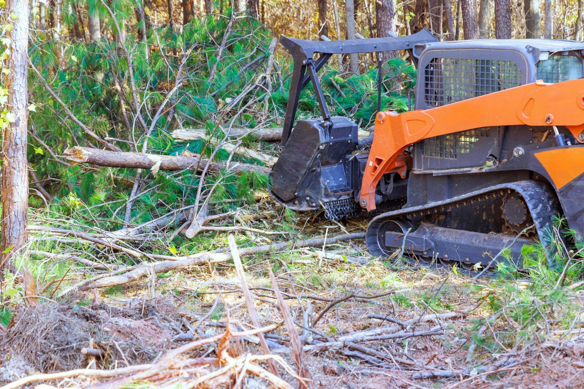 An orange track loader with a forestry mulcher attachment clearing brush and trees in a forest.