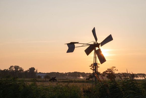 Omgeving friesland