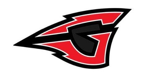 A red and black logo with the letter g on a white background.