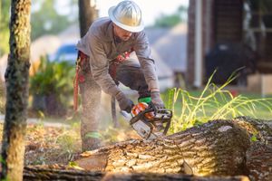 Arborist in hard hat using a chainsaw to cut a log. Sawdust flies in the air, outdoor setting.