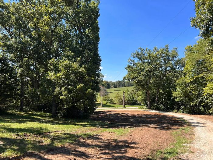 Sunny dirt path through trees leading to a grassy hill under a blue sky