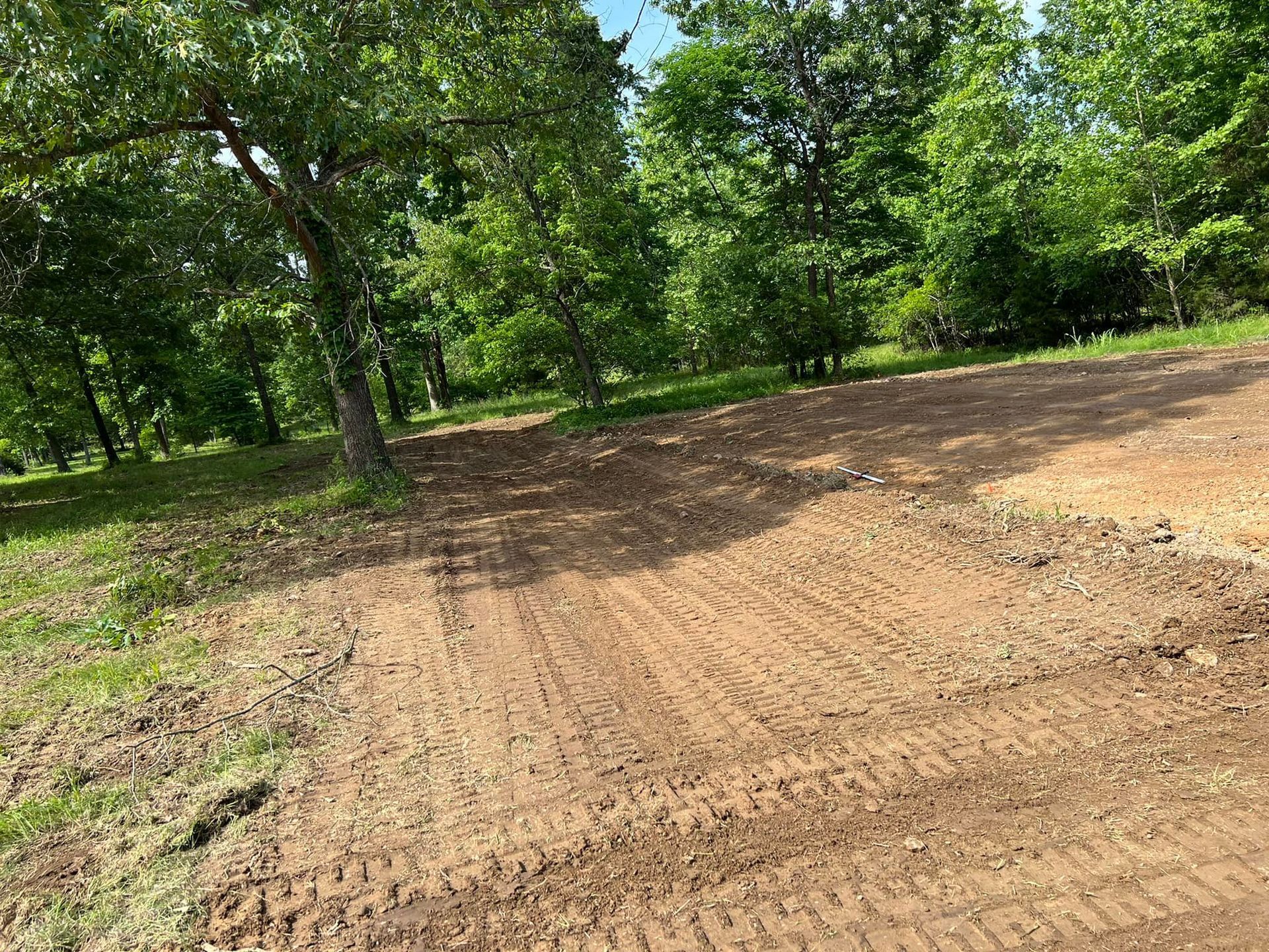 Wooded clearing with a freshly graded dirt path under green trees