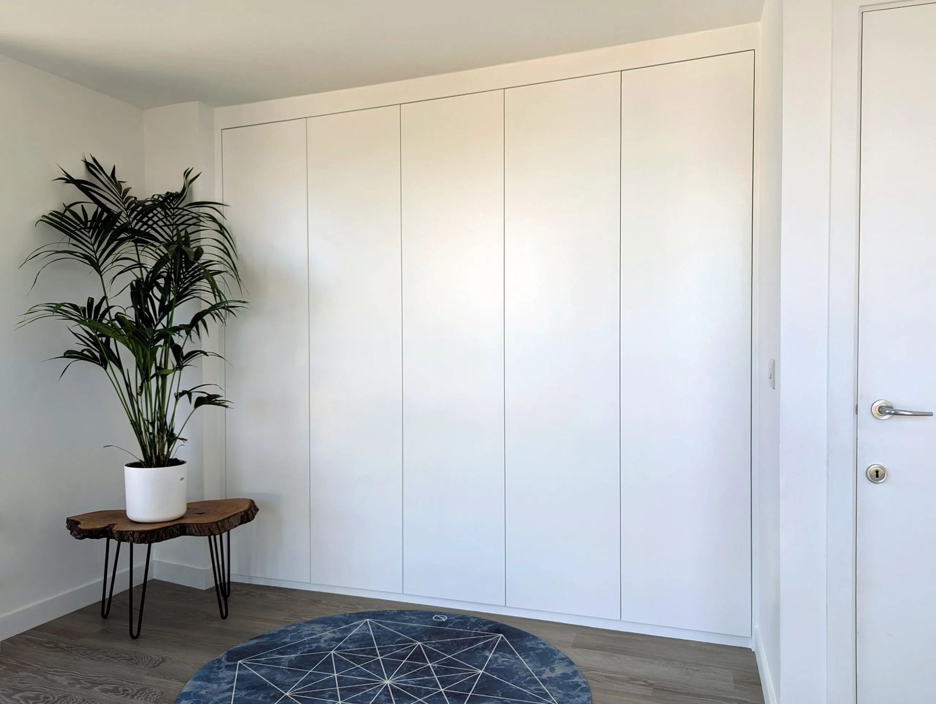 White closet doors in a bright room with a plant on a wooden table and a blue rug.