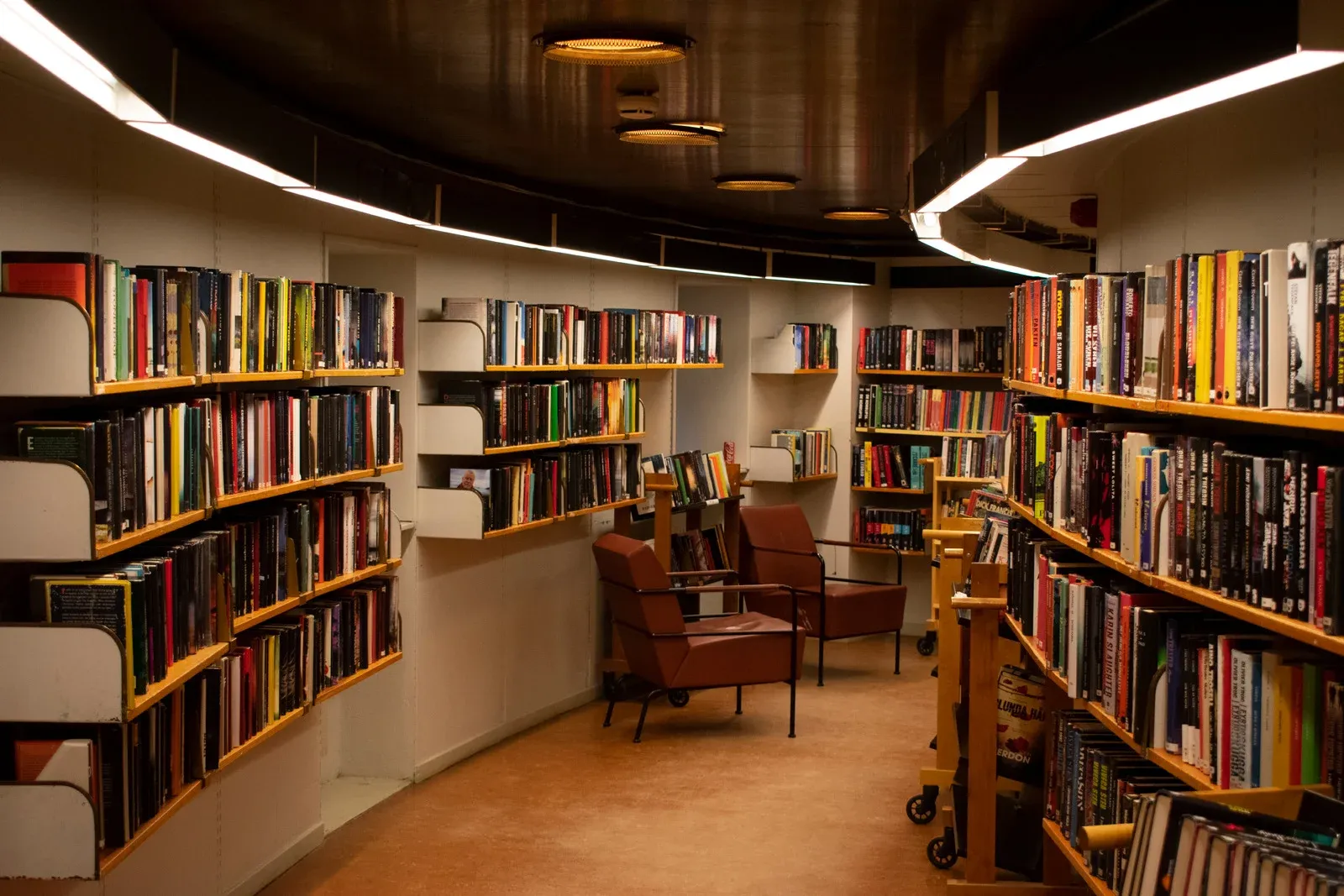 Library interior with curved shelves of books, warm lighting, and seating area.