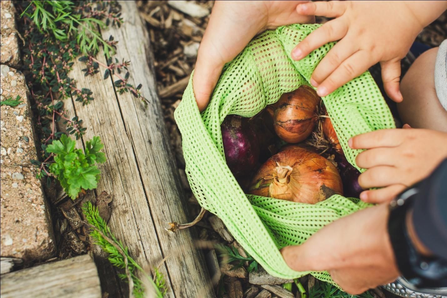 Hands placing onions in a green mesh bag beside a wooden log outdoors