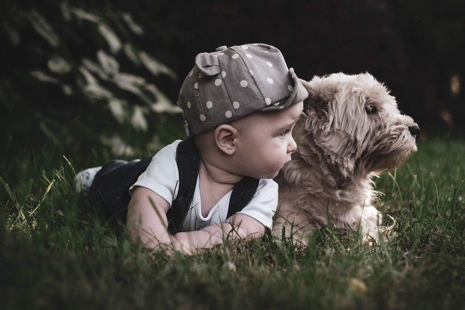Baby lying in grass, nose-to-nose with a fluffy dog in a soft outdoor setting