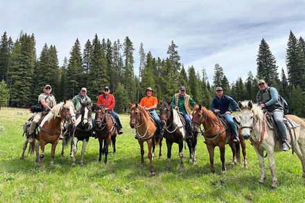 A group of people are riding horses in a field.