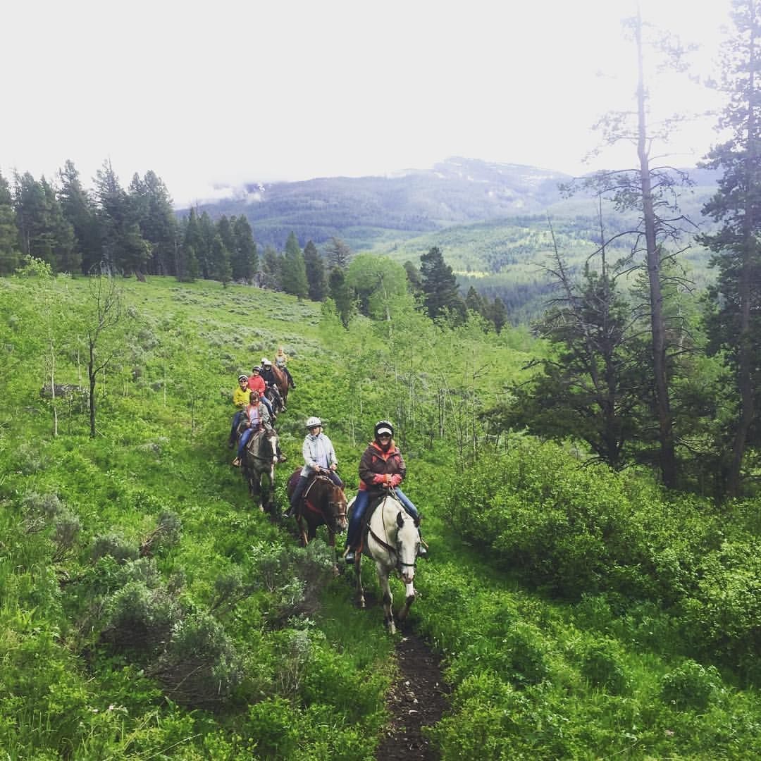 A group of people are riding horses down a grassy hill.