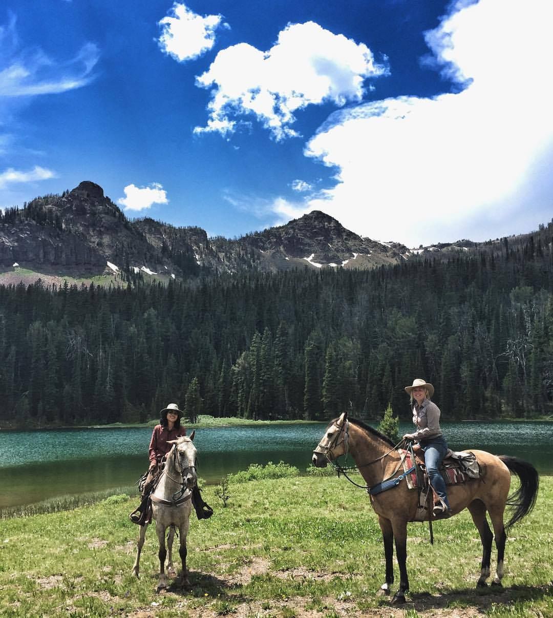 Two people riding horses in a field with mountains in the background