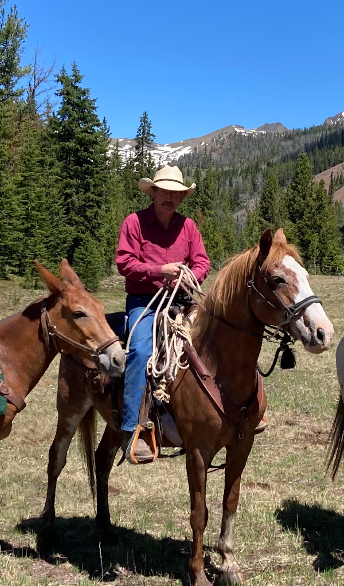 A man is riding a horse and a donkey in a field.