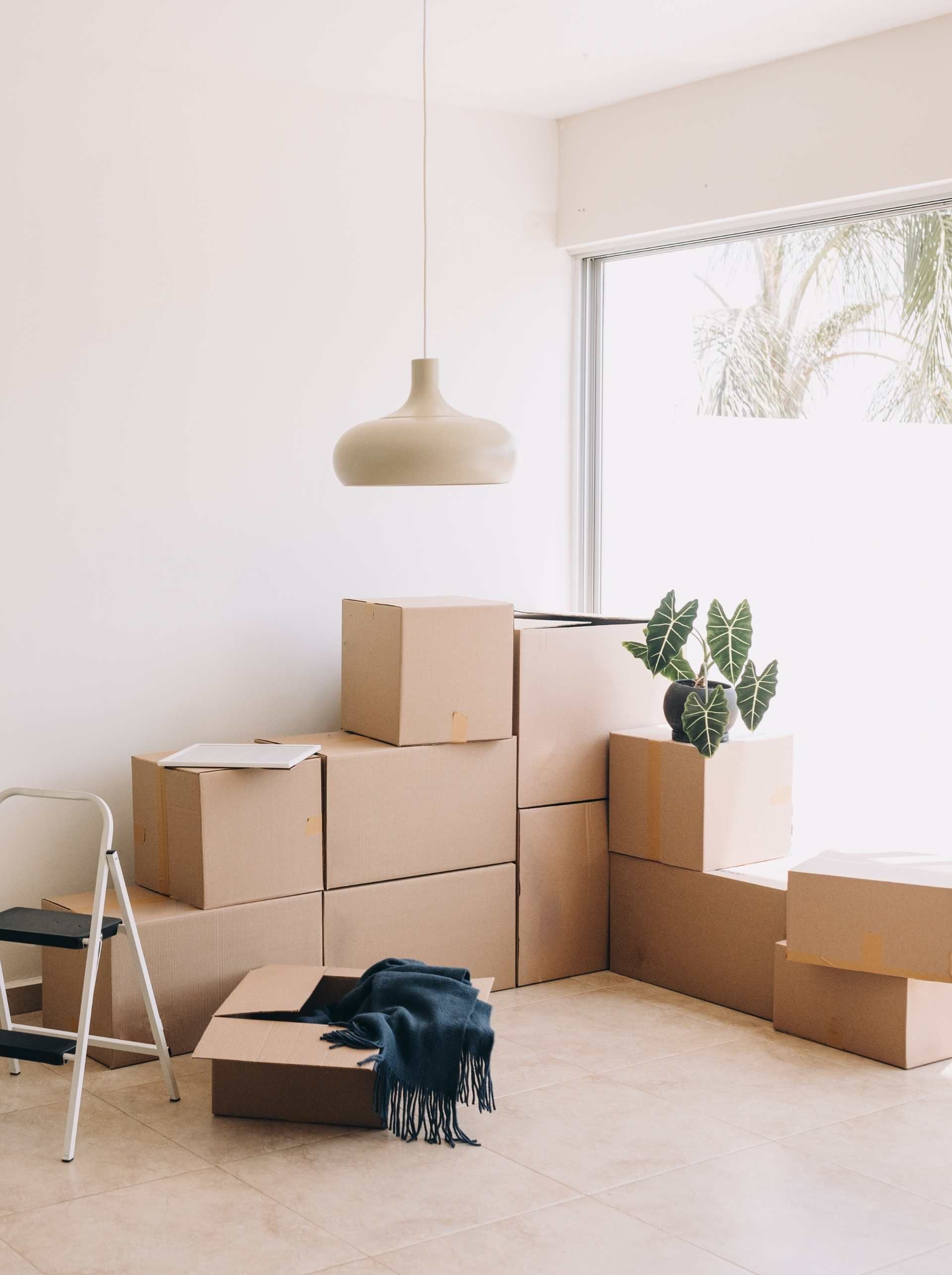Move-In and Move-Out Cleaning Nassau County
