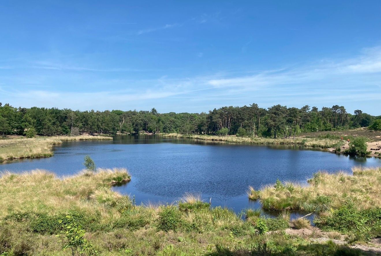 Natuur Overasselte Vennen