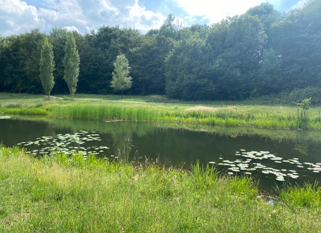 Natuur Staddijk