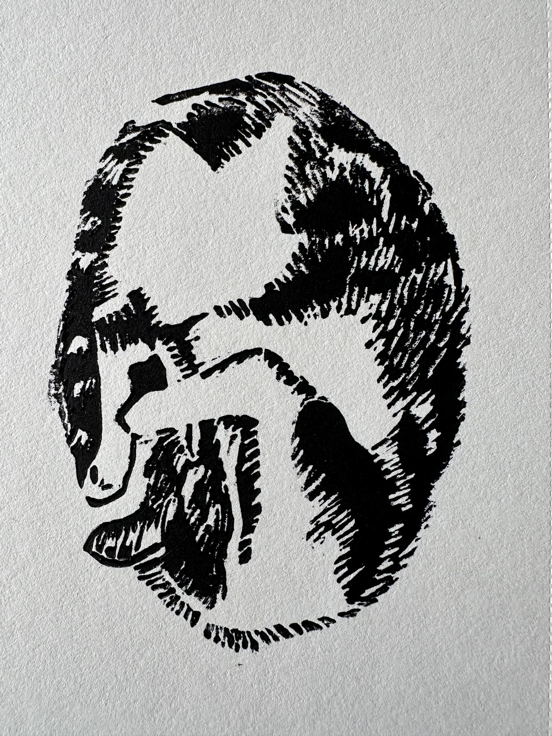 Opgekrulde kat
Linoprint, 200 x 150 mm