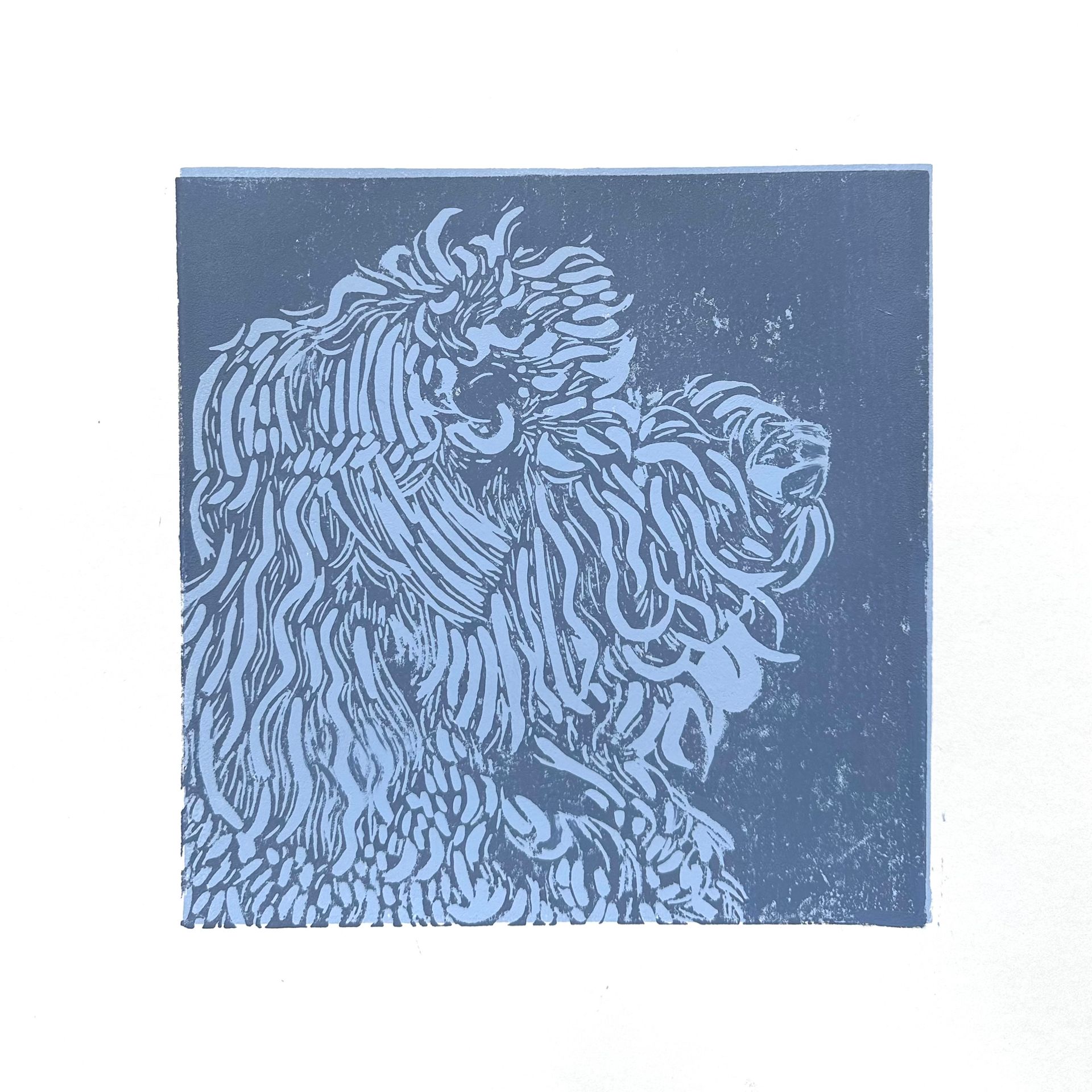 Labradoedel
Linoprint, 200 x 200 mm