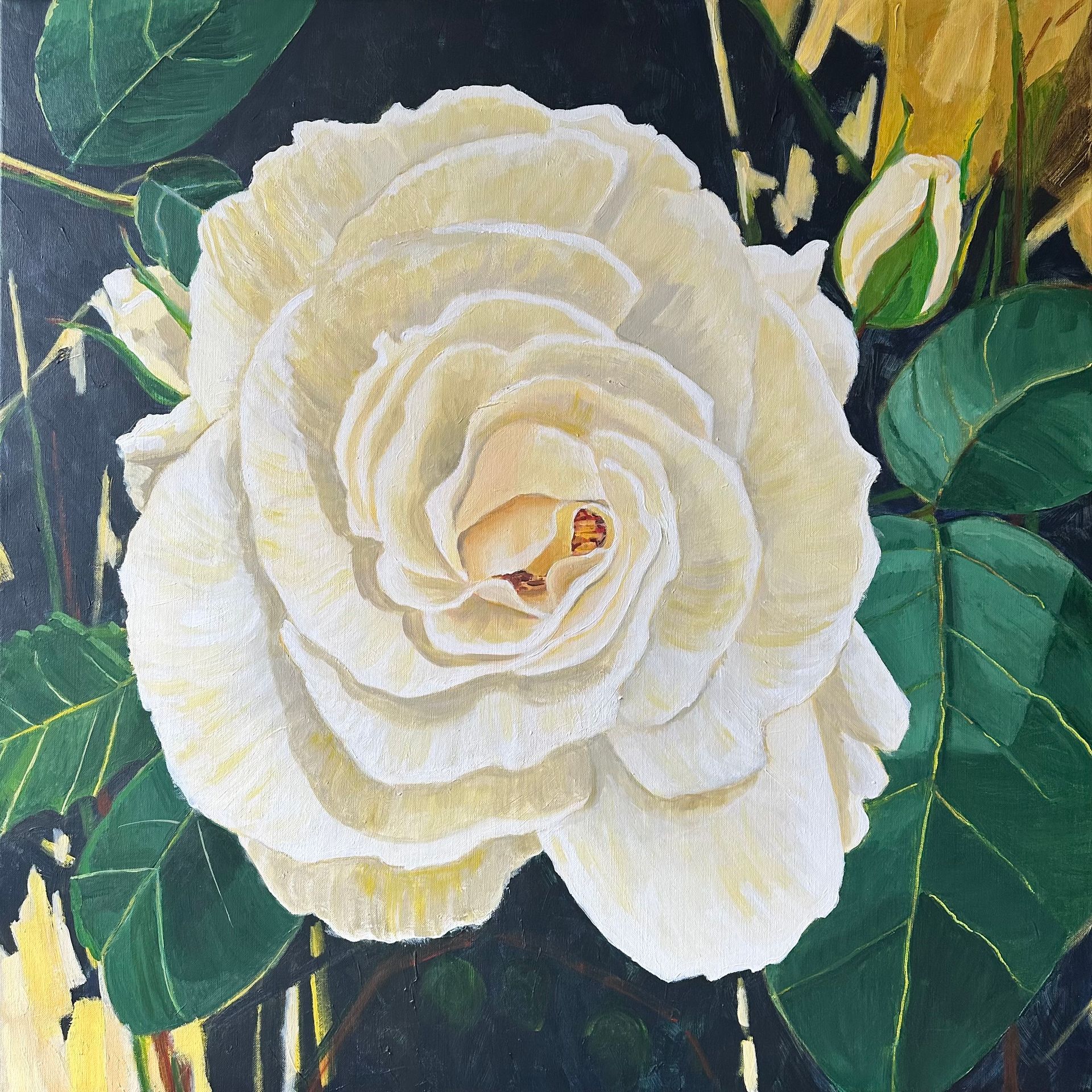 Witte roos
Acryl, 1000 x 1000 mm.