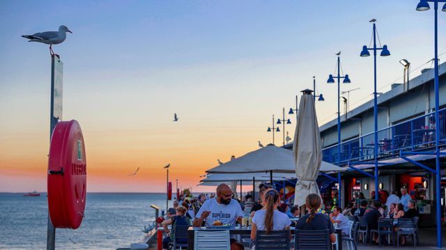 Seagull atop a post watches over people dining outdoors at a seaside restaurant during sunset.