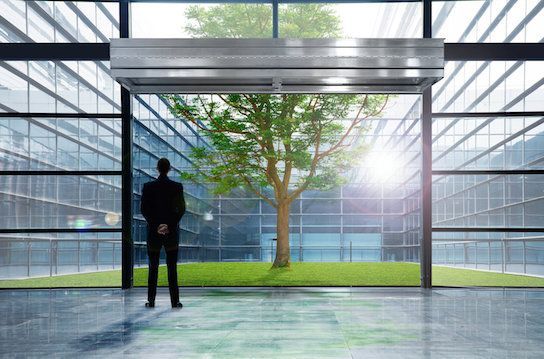 A man in a suit is standing in front of a large window looking at a tree.