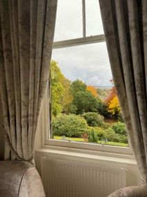 Window with curtains overlooking a green garden in autumn, with a radiator below.