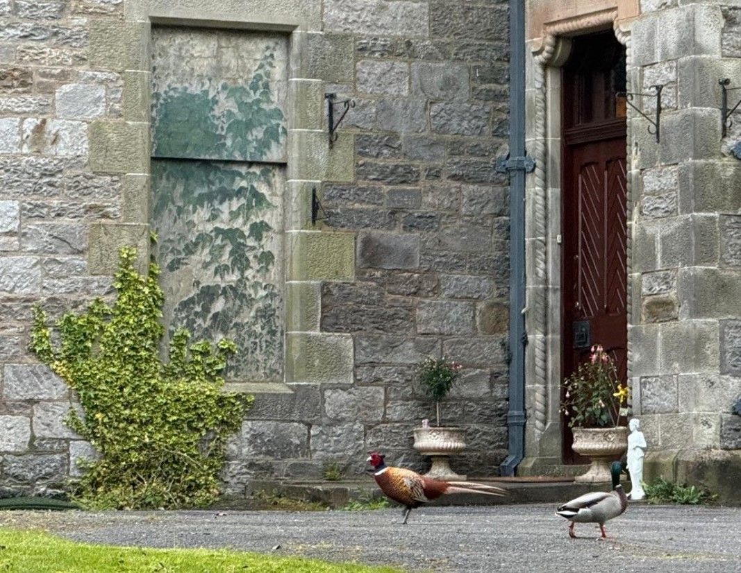 Ducks standing outside Wellwood MAnor Pitlochry an old Victorian building with a doorway and windows.