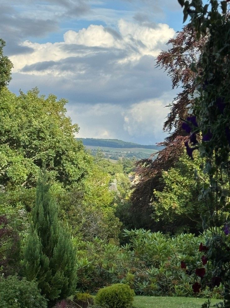 Lush garden overlooking distant hills under a cloudy blue sky