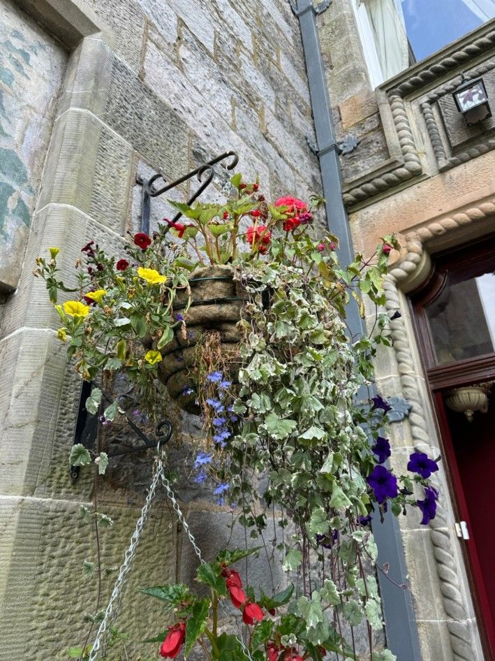 Hanging basket of colorful flowers beside a stone building and red doorway