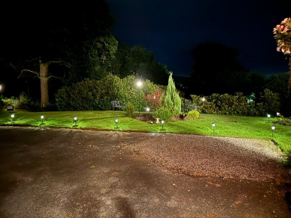 Nighttime landscaped garden with lit grass, trees, and a wet driveway.