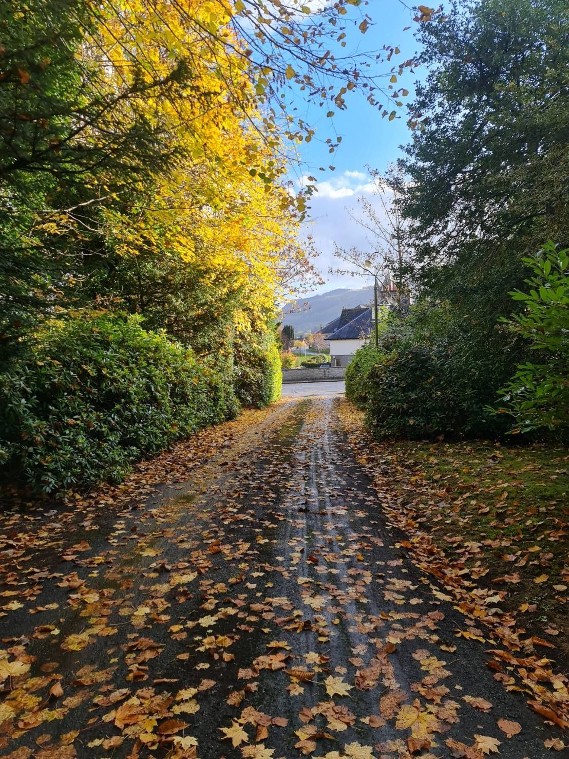 Leaf-covered path through autumn trees leading to a bright opening and distant mountains and the town of pitlochry, perthshire in Scotland