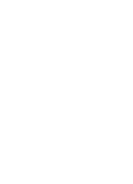 Blank white image with a faint gray edge on the right side