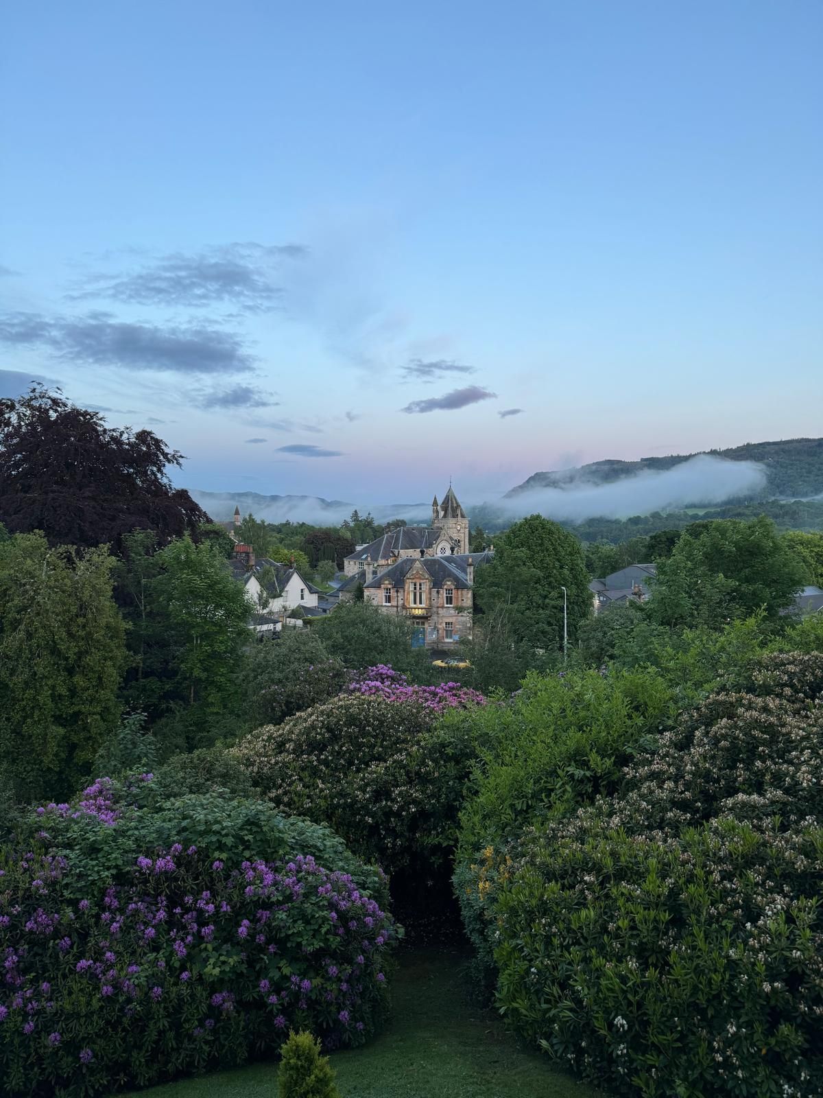 Mist-shrouded hilltop village at dawn, framed by lush green foliage and purple flowers