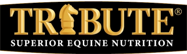 Logo for Tribute, superior equine nutrition. Gold letters on black background. Knight chess piece in the letter I