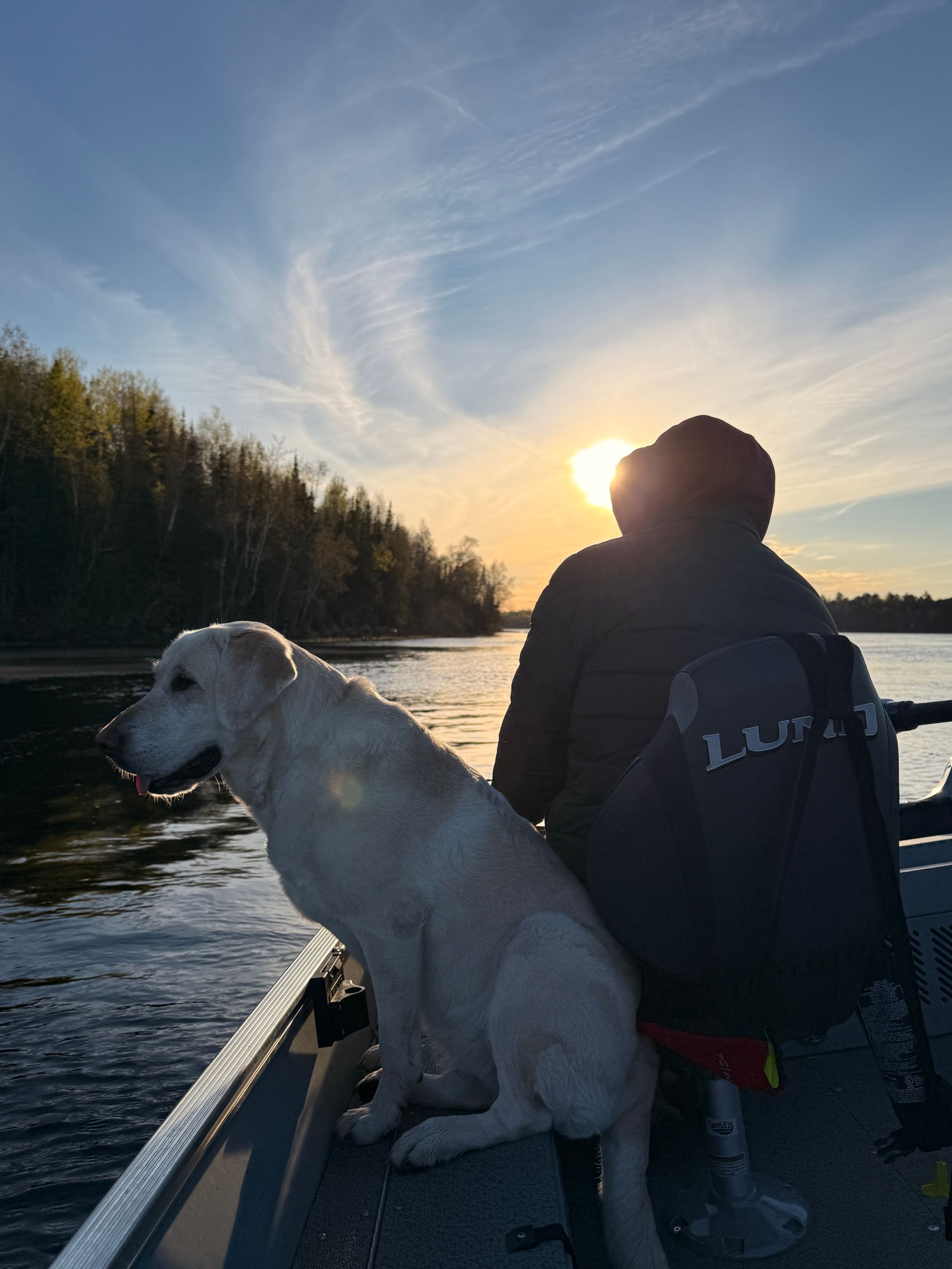 A dog and hunter.