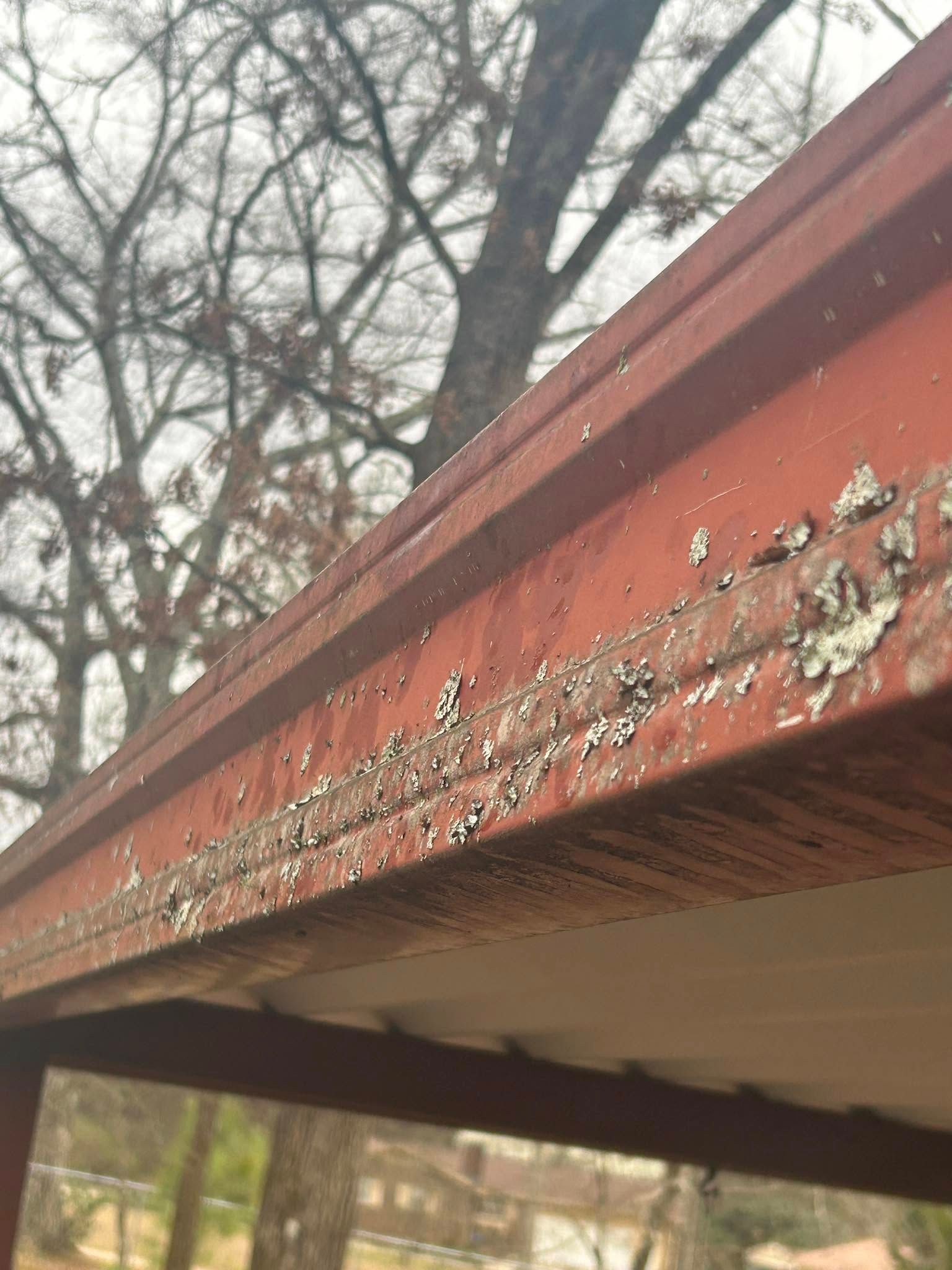 Close-up of a red metal roof edge with peeling white paint and bare tree branches in the background