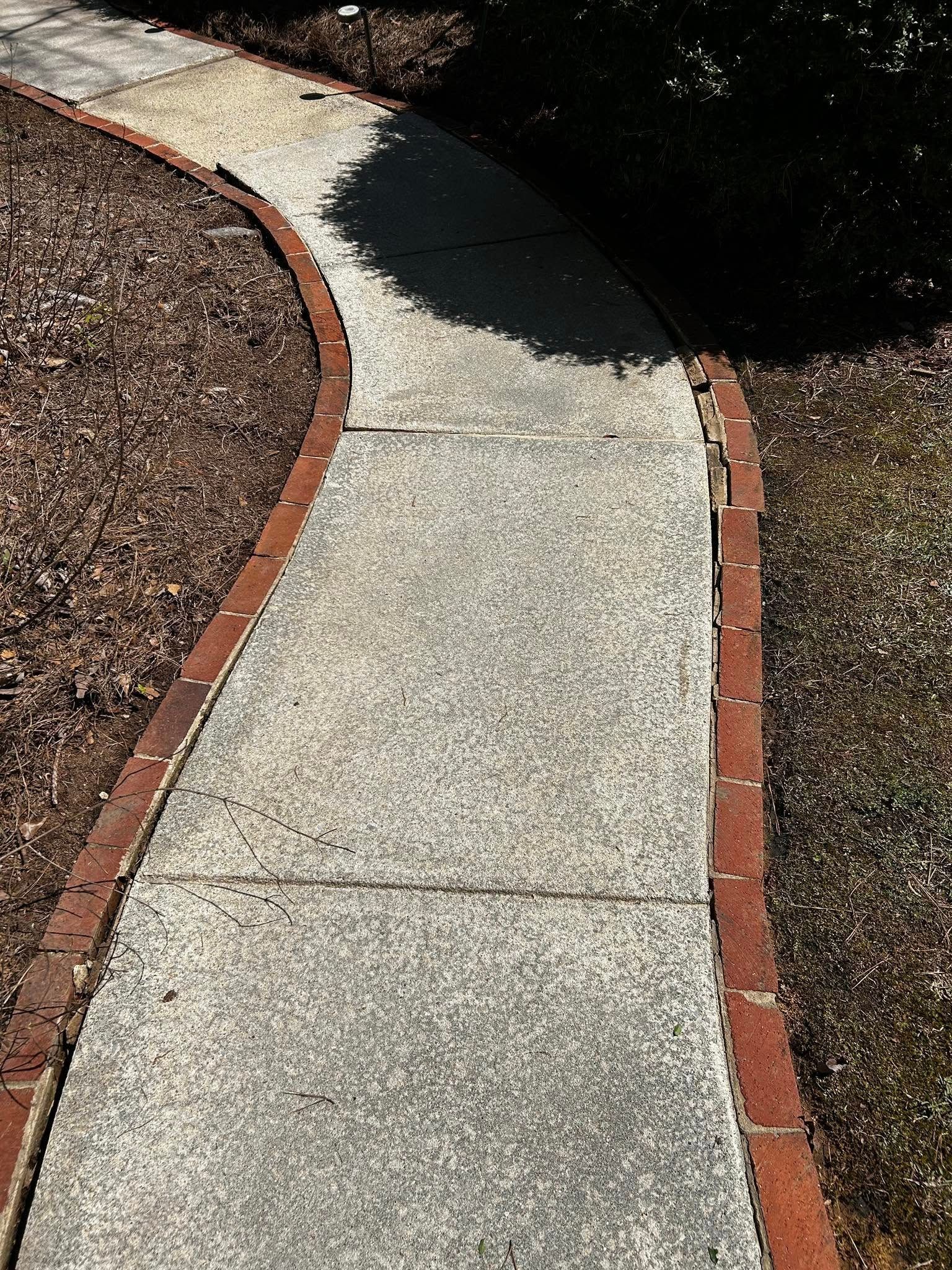Curving concrete sidewalk bordered by red bricks and mulch in bright sunlight