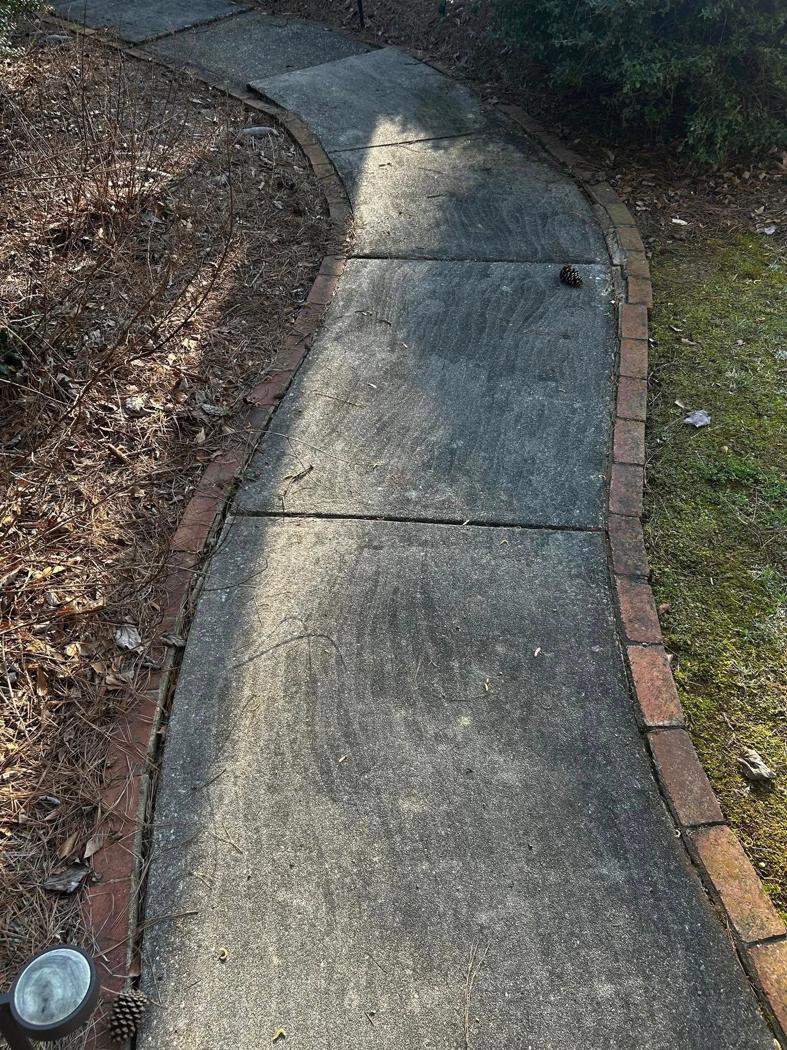 Curved concrete sidewalk bordered by mulch and grass, with sunlight and shadows.