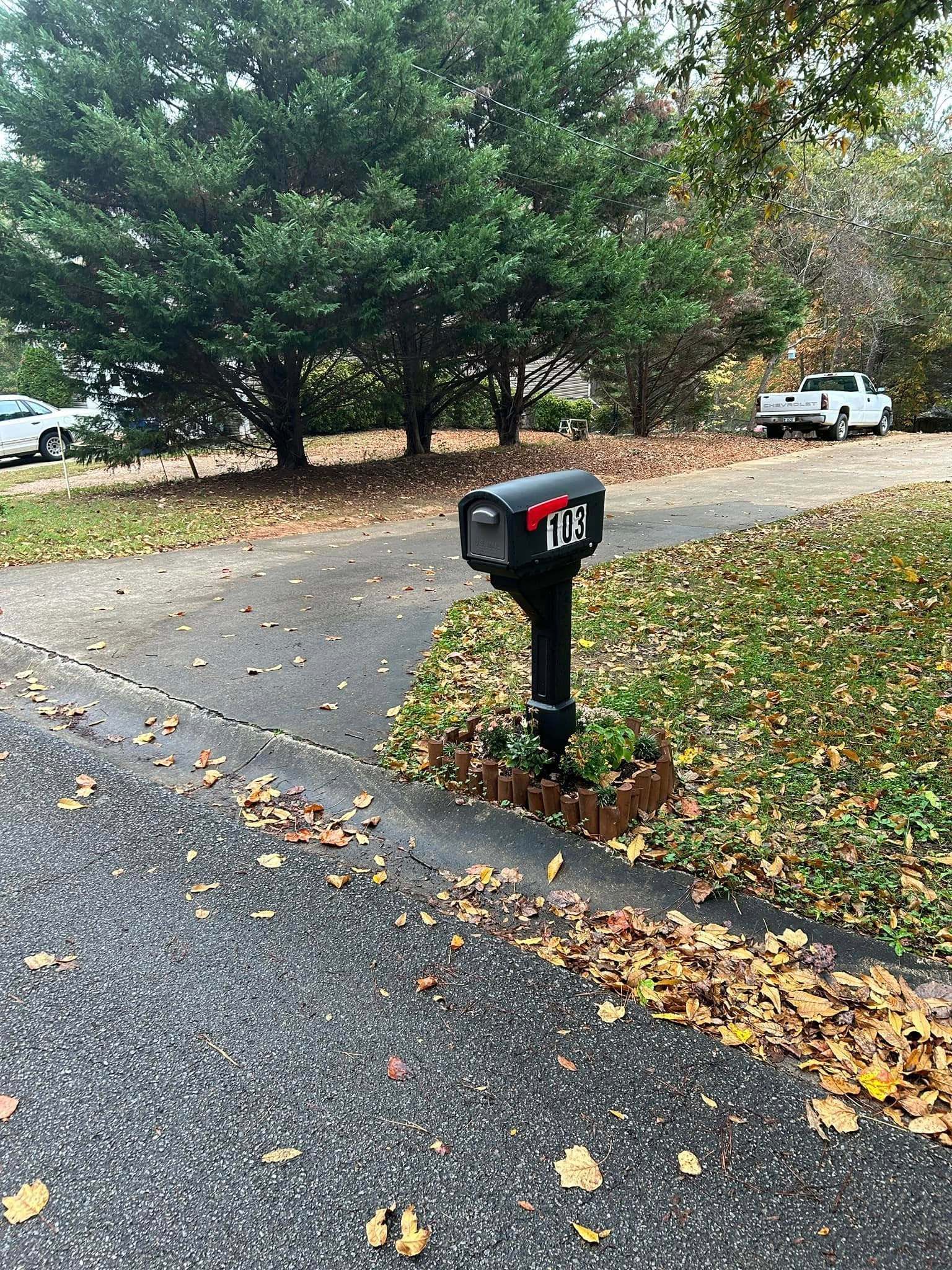 Black mailbox by a driveway in a leafy residential area, with fallen autumn leaves.