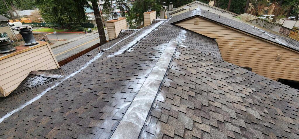 paint on a roof 