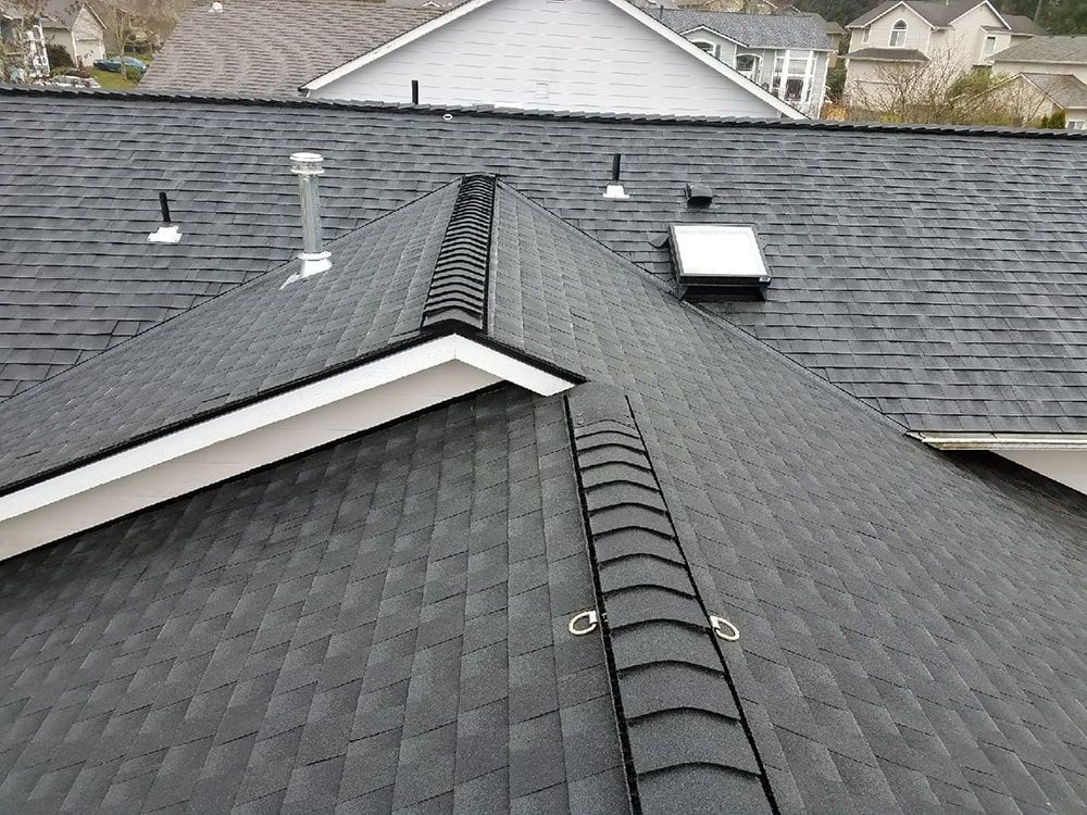the roof of a house with a black shingle roof and a skylight .