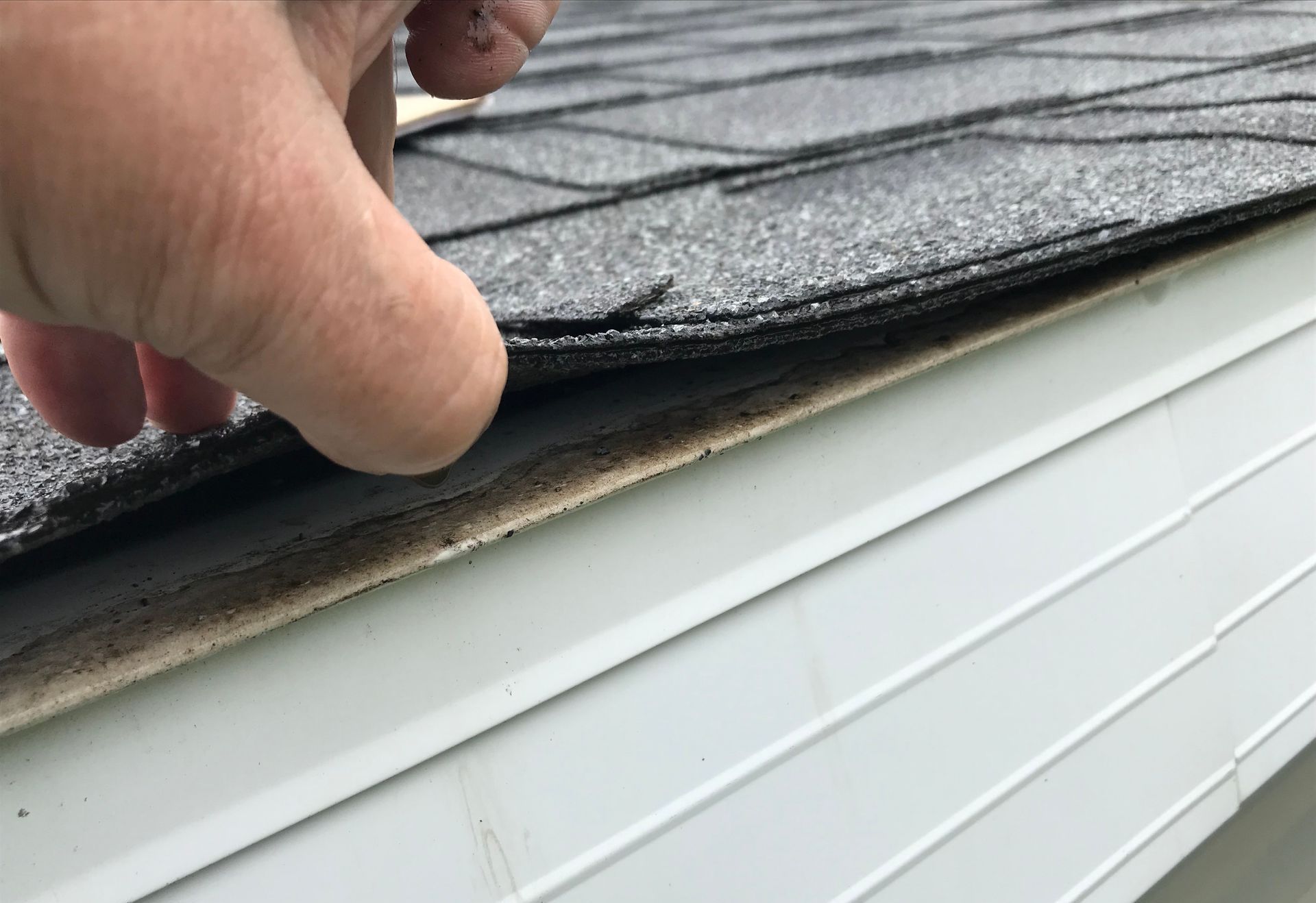 loose shingles