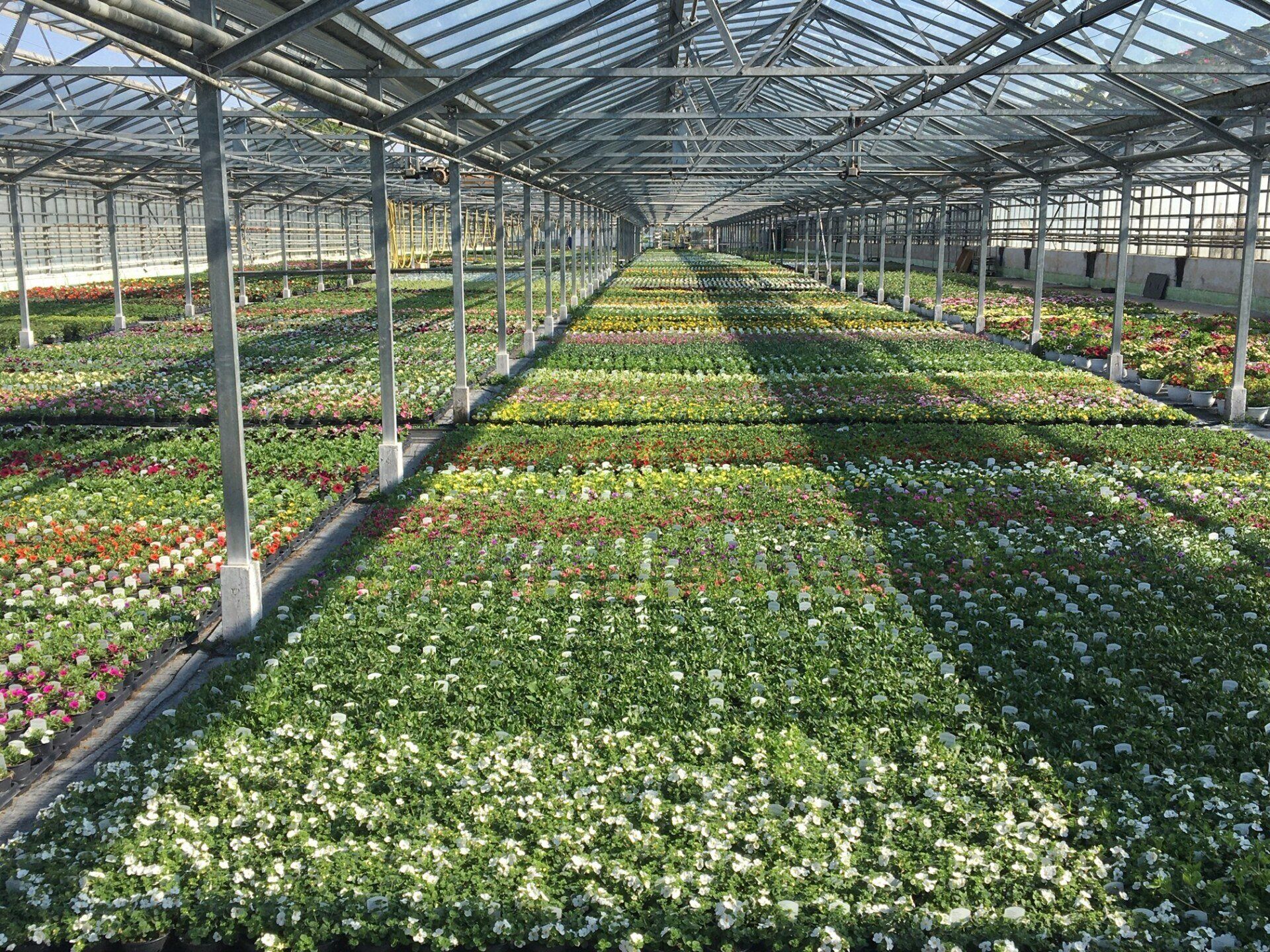 Blumenhalle