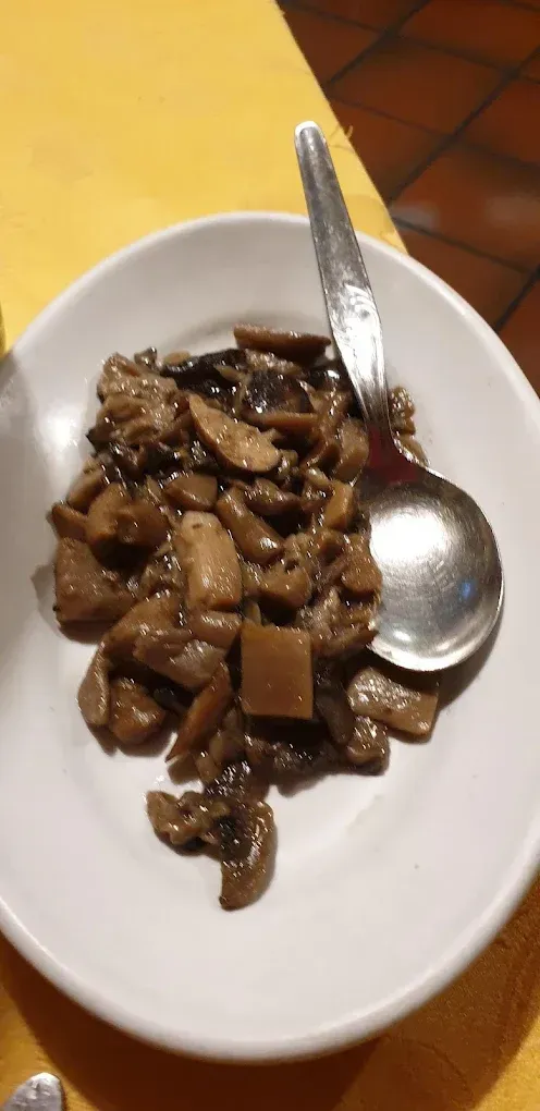 funghi