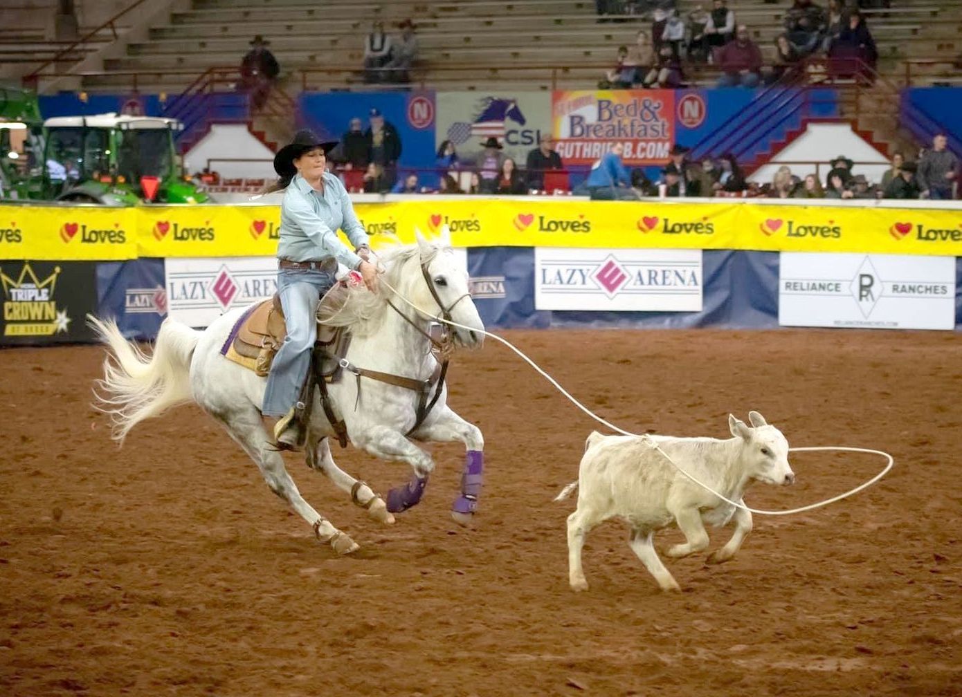 A woman is riding a horse and roping a goat