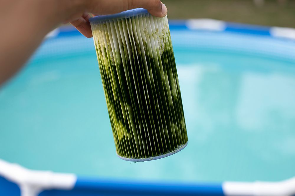 Technician holding an algae-covered pool filter in Baton Rouge, Louisiana.