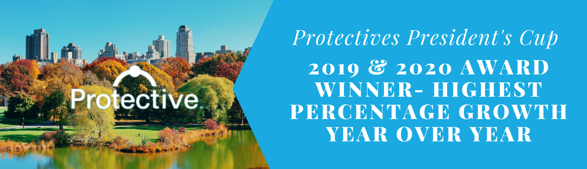 Highest Percentage Growth Year Over Year Dealer Systems