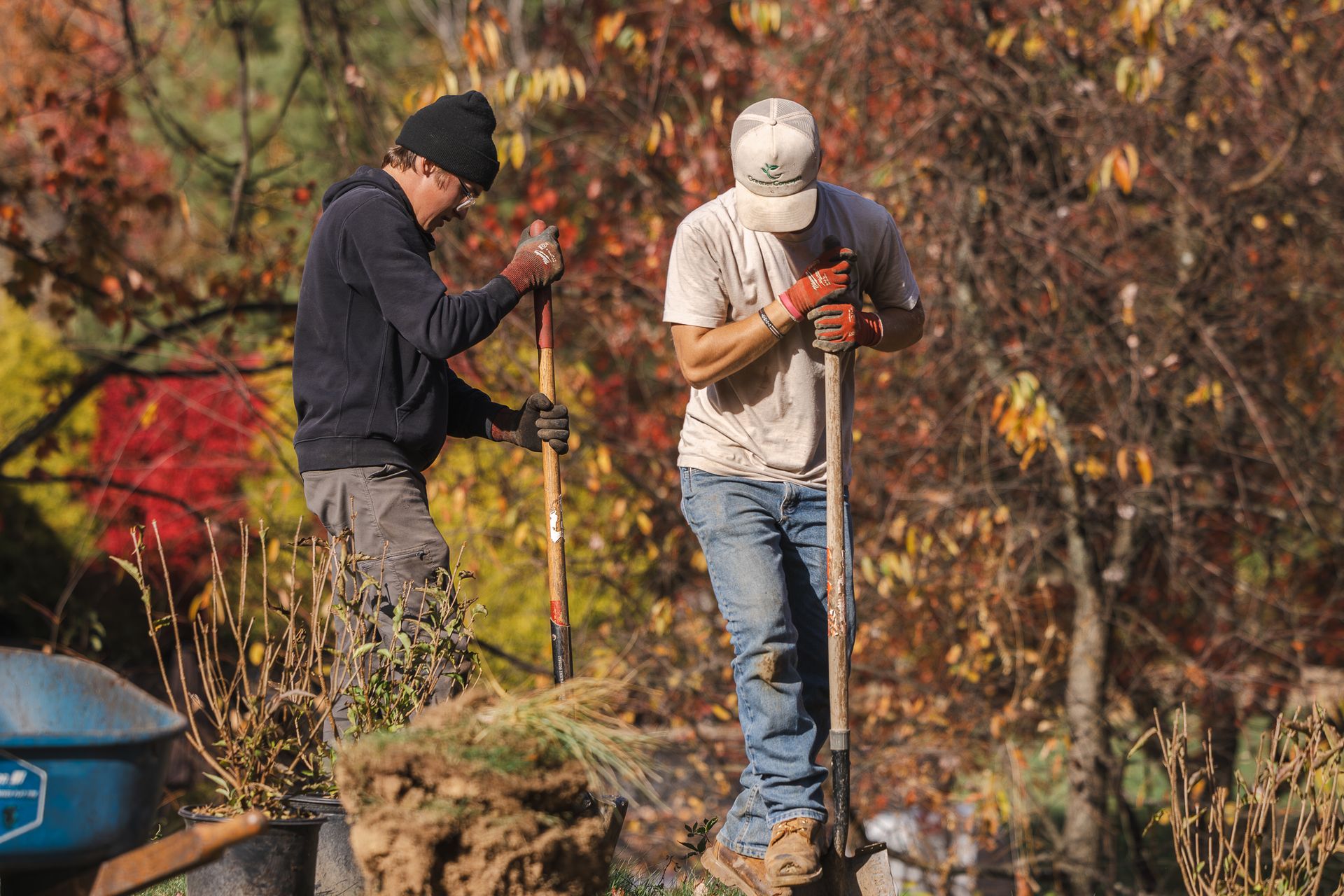 Two men are working in a garden with shovels.