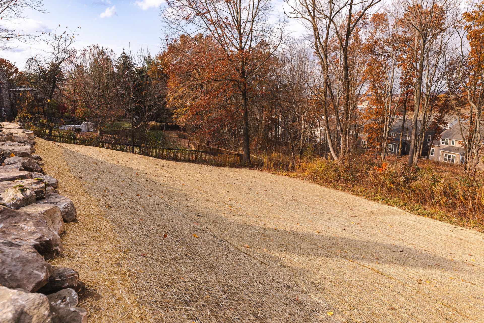A gravel road surrounded by trees and rocks on a sunny day.